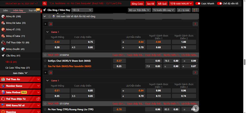 Sức hấp dẫn của bộ môn cá cược cầu lông Zo88