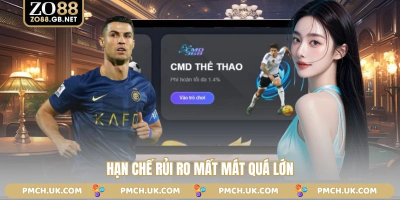 Hạn chế rủi ro mất mát quá lớn